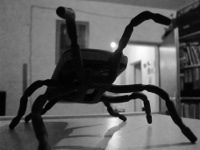 2013-spider-spider